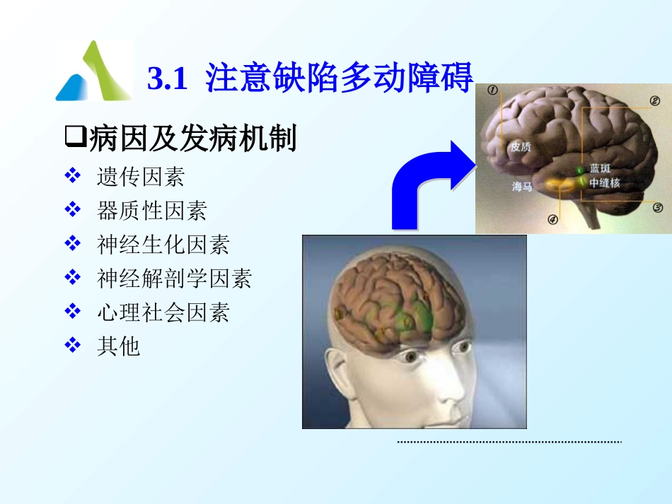 儿童精神障碍患者的护理_第15页