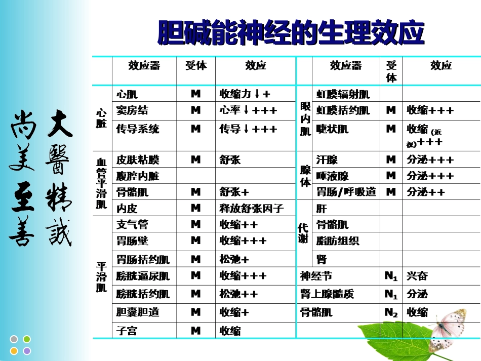 精神科治疗的观察与护理_第11页