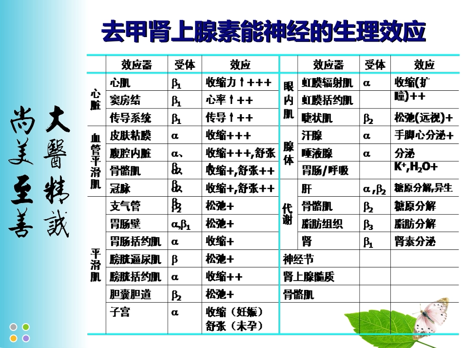 精神科治疗的观察与护理_第12页