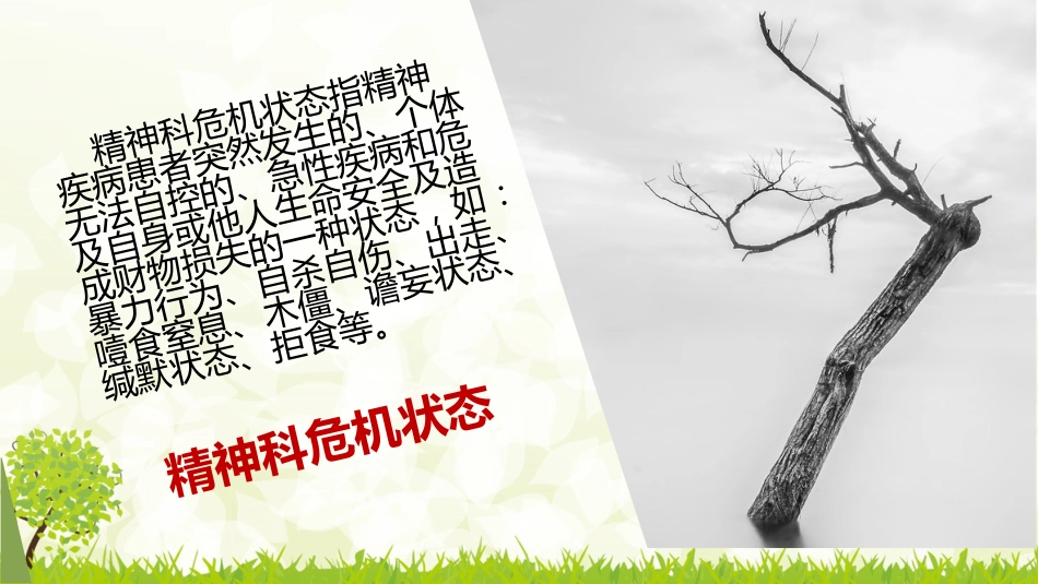 精神科常见危机状态的处理_第2页