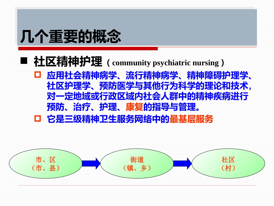 精神疾病康复与家庭护理_第12页