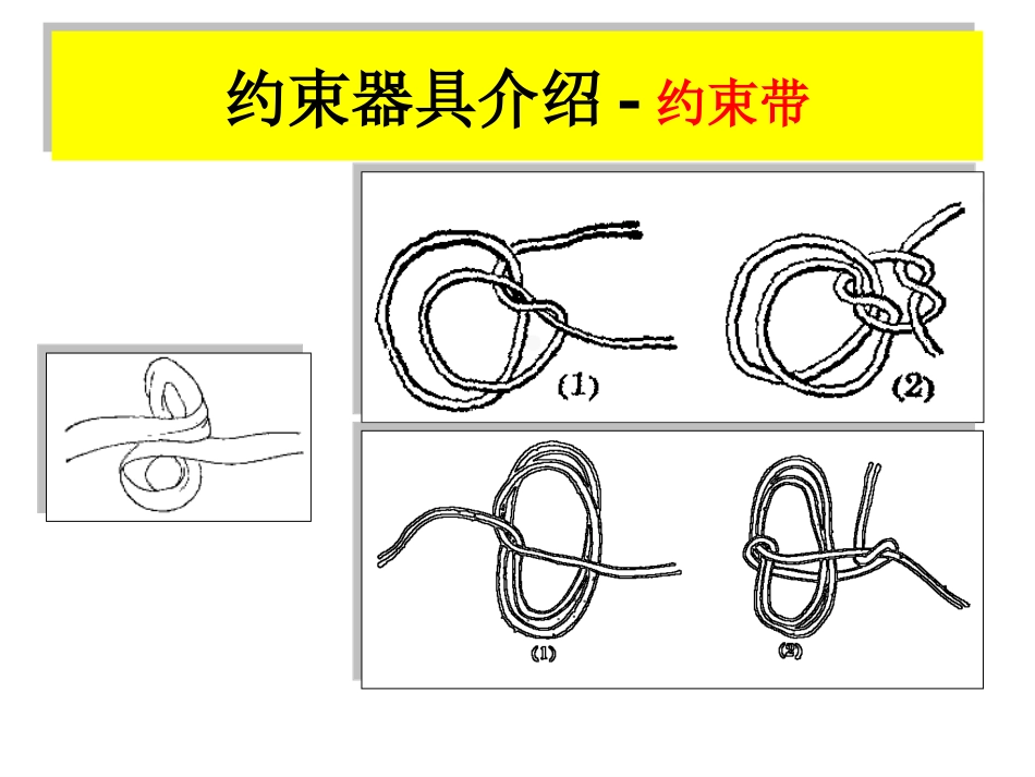 保护性约束_第10页