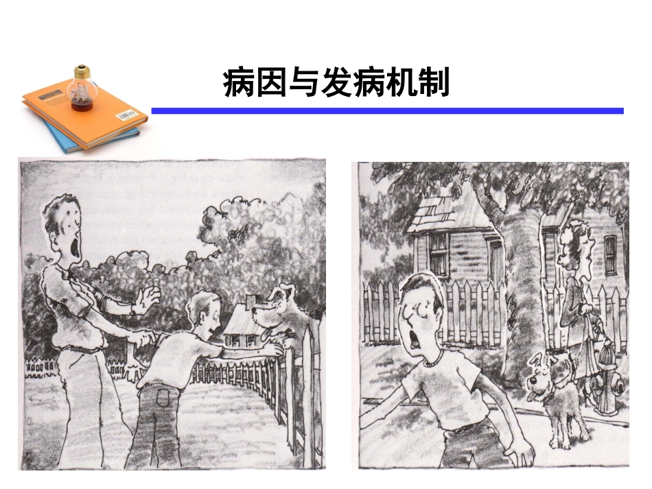神经症性障碍2_第15页