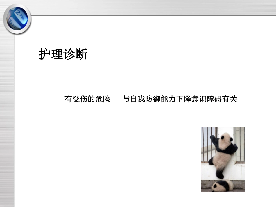 精神科护理技能 5.3 出走行为的防范与护理_第8页