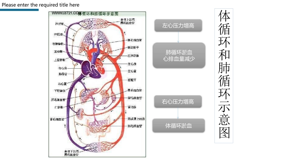 心力衰竭护理查房PPT模板_第10页