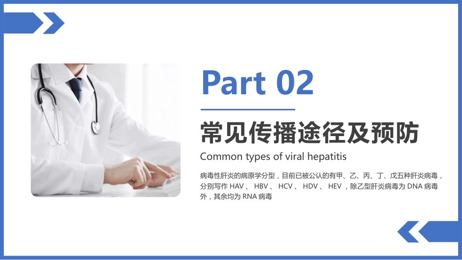 病毒性肝炎预防和治疗PPT_第11页