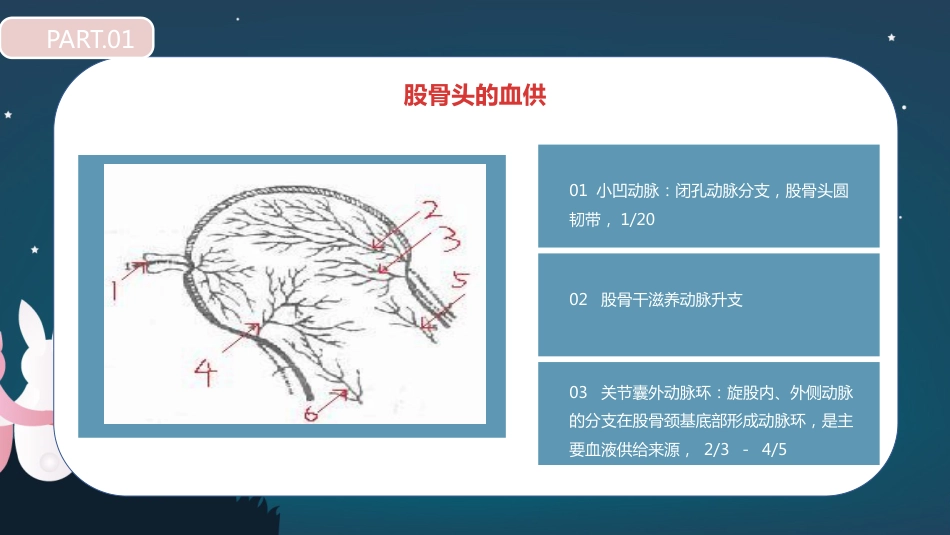 股骨胫骨折护理查房_第10页
