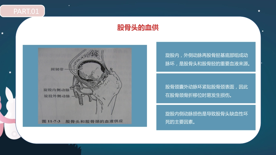 股骨胫骨折护理查房_第11页