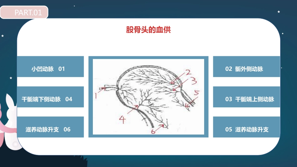 股骨胫骨折护理查房_第9页