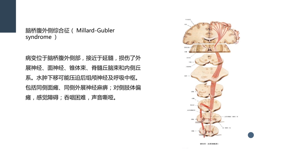 一例桥脑出血的护理个案分享_第3页