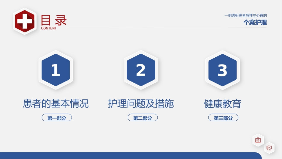 心衰病人个案护理医疗医学PPT_第2页