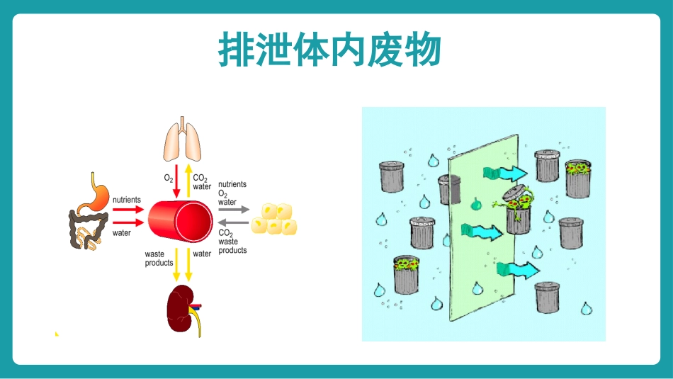 血液透析个案护理_第10页