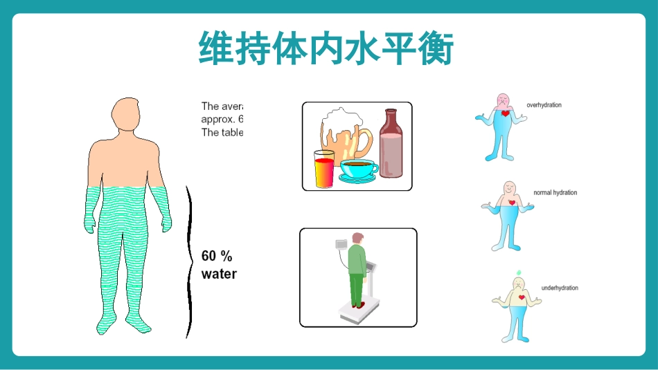 血液透析个案护理_第11页