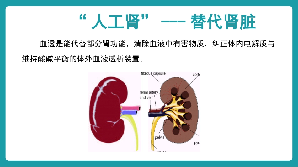 血液透析个案护理_第8页
