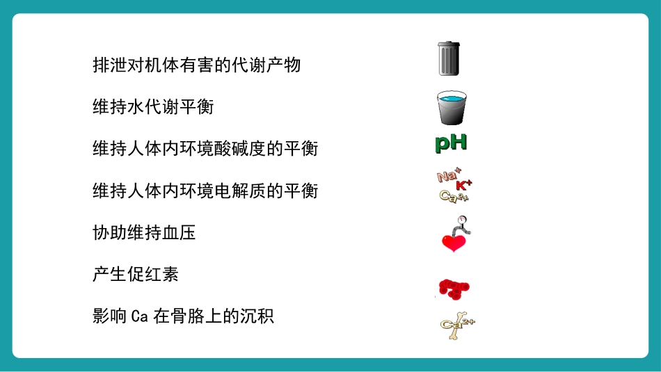 血液透析个案护理_第9页