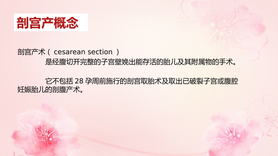 剖宫产手术护理查房_第4页