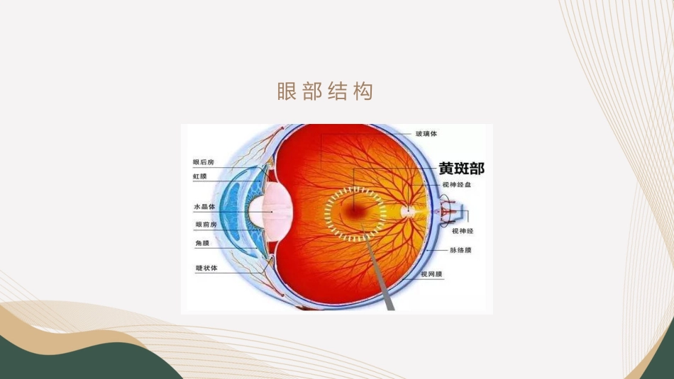 血液透析并发症-眼部护理_第5页