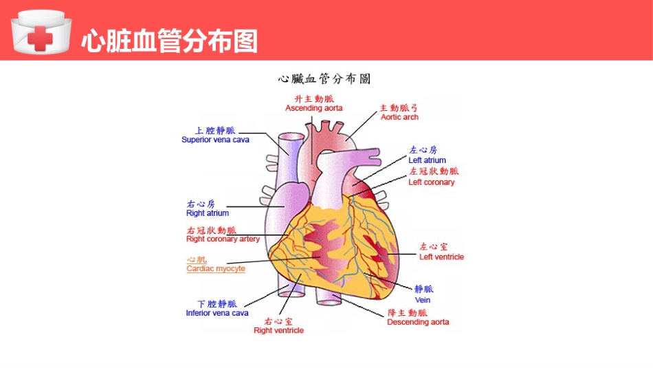 心肌梗塞个案护理（1）_第8页