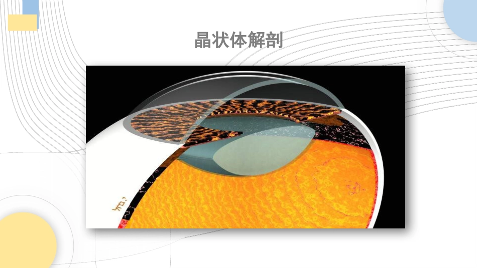 肠梗阻的护理查房2_第4页