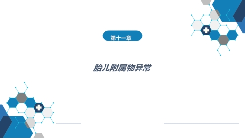 胎儿附属物异常.