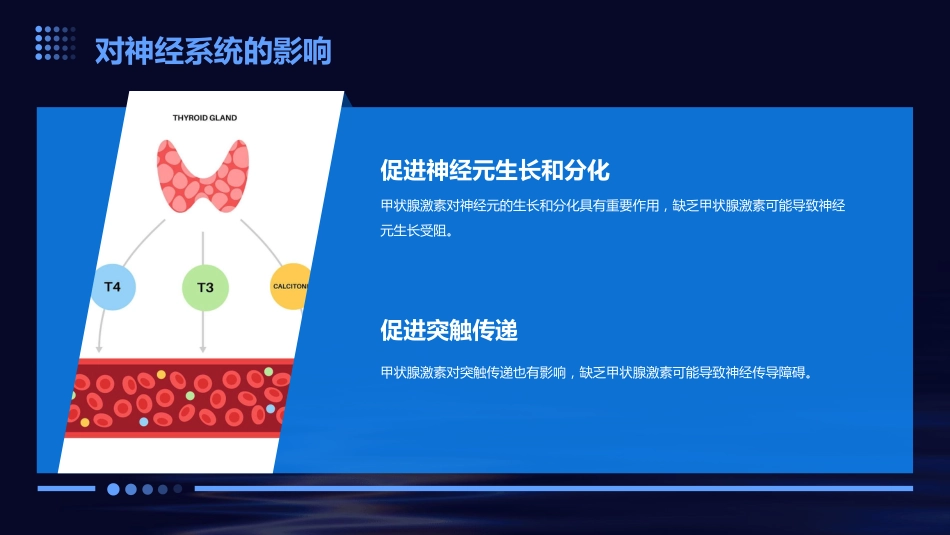 甲状腺及甲状旁腺激素-ppt课件_第11页