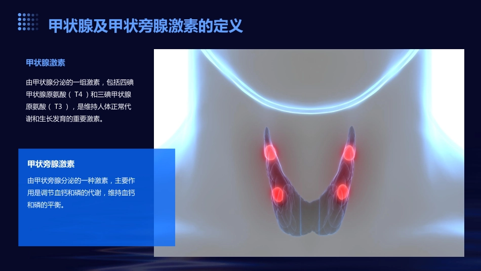 甲状腺及甲状旁腺激素-ppt课件_第4页