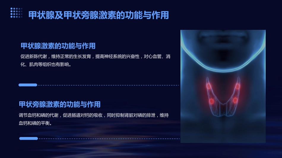 甲状腺及甲状旁腺激素-ppt课件_第5页