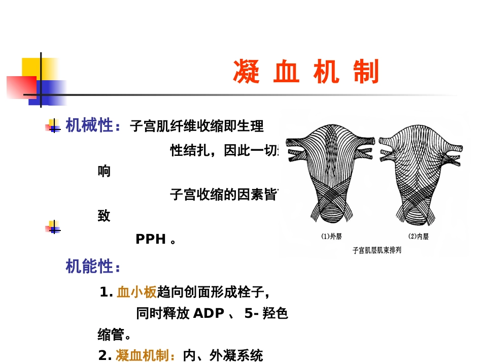 、分娩并发症--产后出血、子宫破裂_第9页