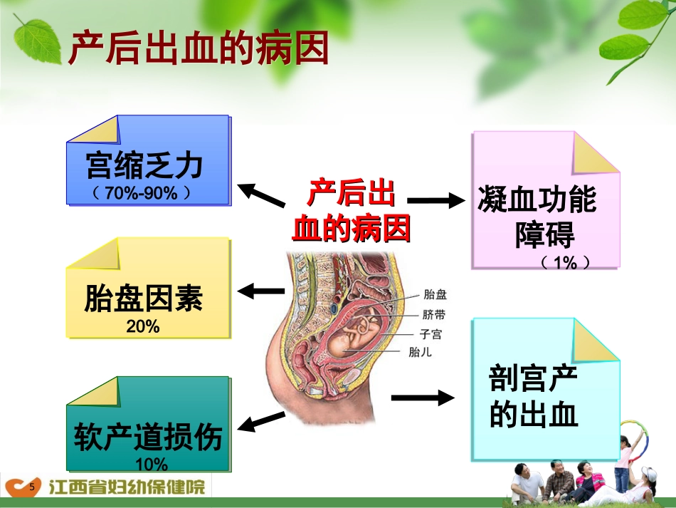 产后出血预防及处理流程-ppt课件_第5页