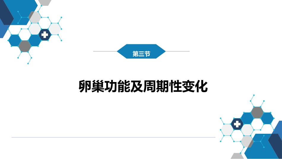 女性生殖系统生理._第11页