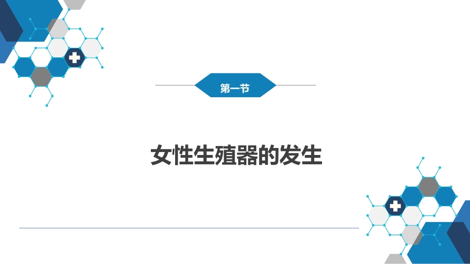 女性生殖器发育异常_第4页
