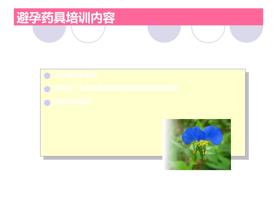 避孕药具培训-ppt课件_第2页