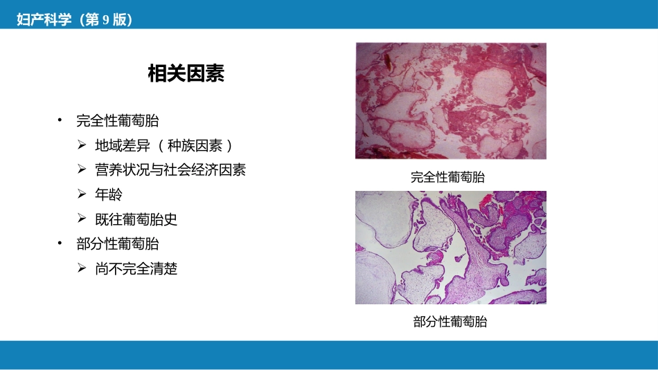 妊娠滋养细胞疾病_第8页