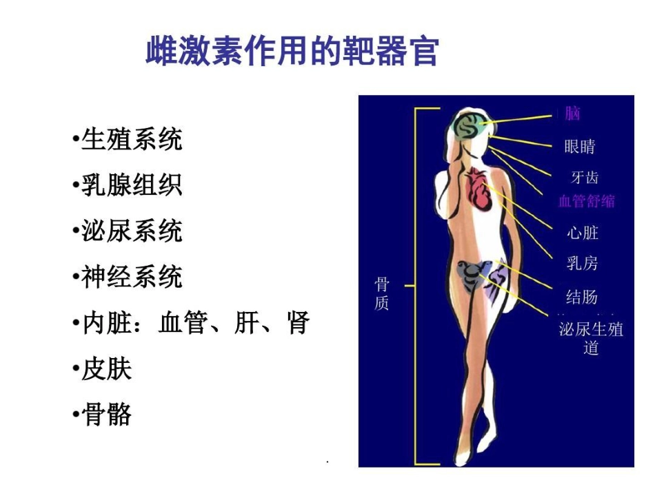 雌激素与抗衰老共文档_第14页