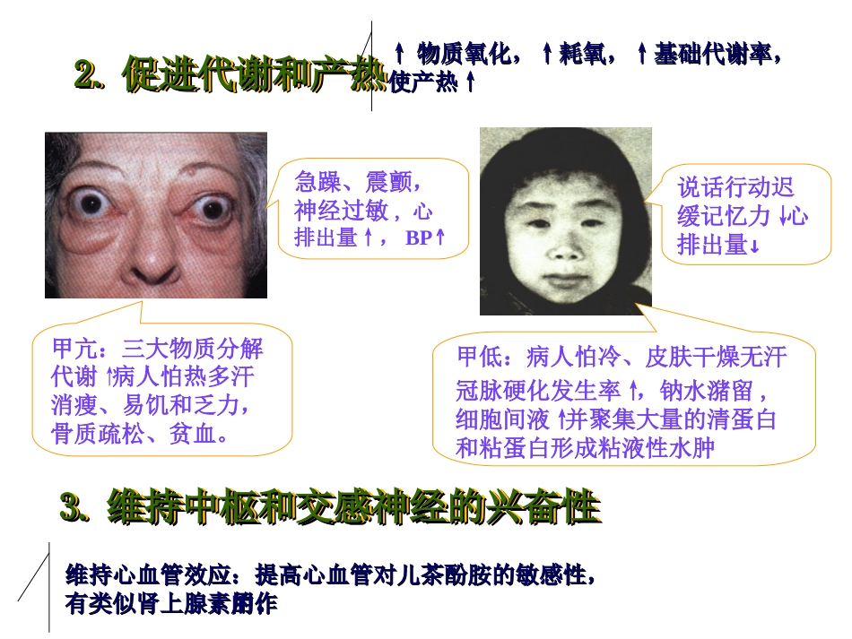 第三十六章-甲状腺激素及抗甲状腺药-时_第14页