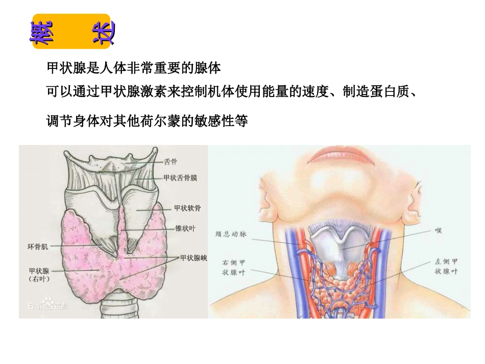 第三十六章-甲状腺激素及抗甲状腺药-时_第2页