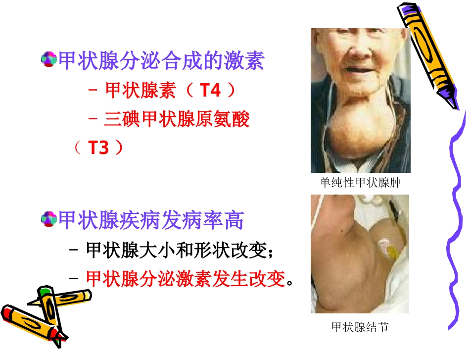 第三十六章-甲状腺激素及抗甲状腺药-时_第5页