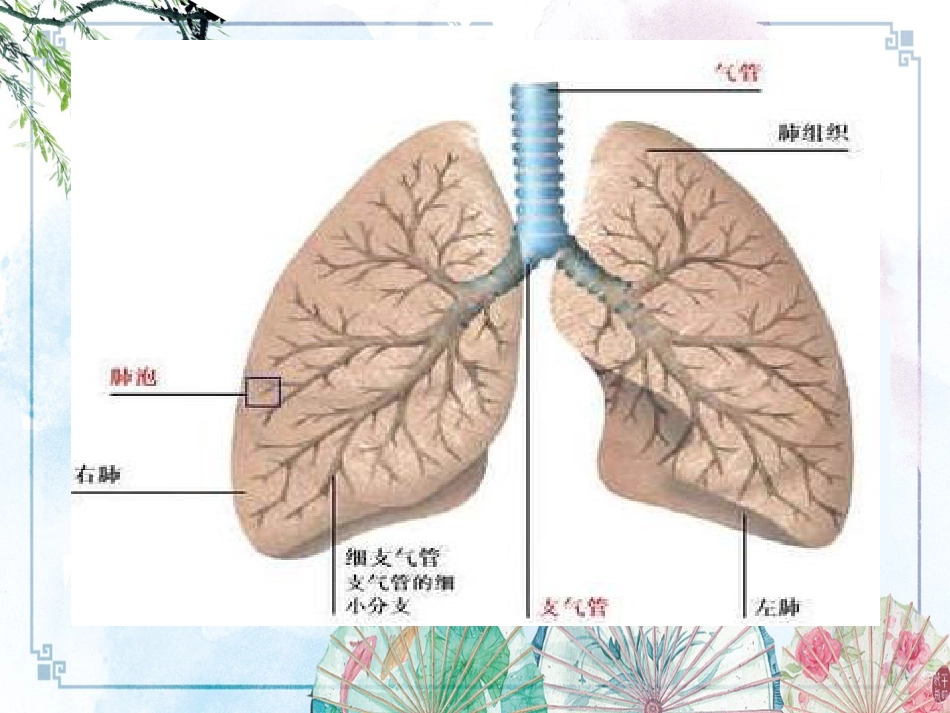 【内科资料】肺栓塞_第2页