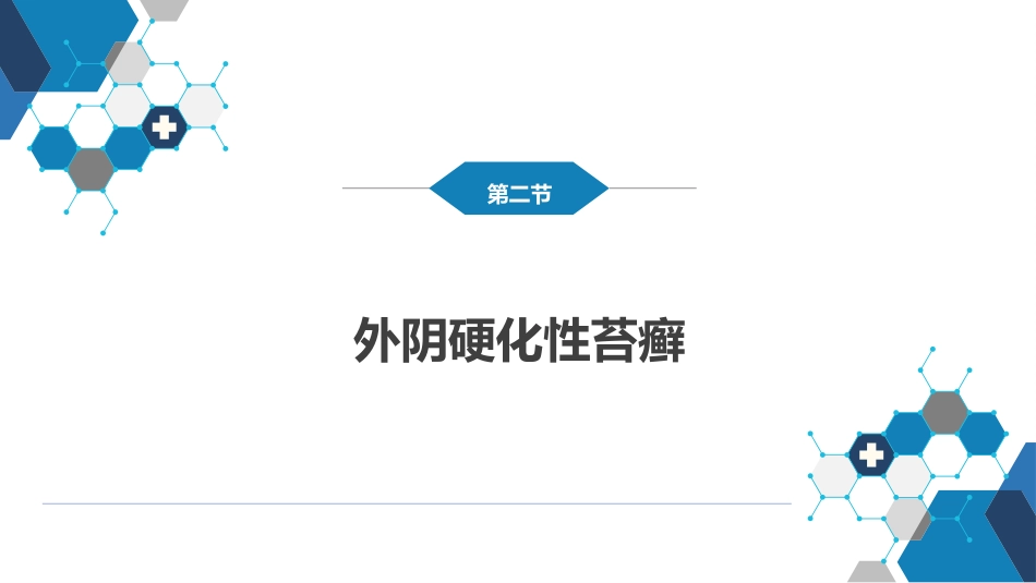外阴色素减退性疾病._第13页