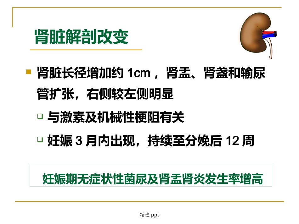 《妊娠与肾脏》_第3页