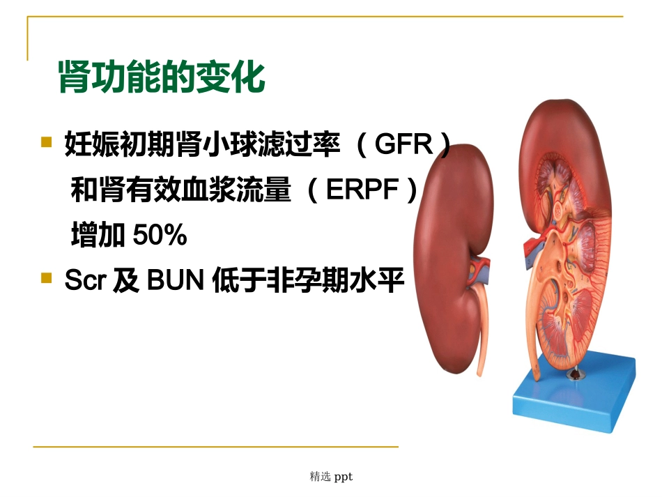 《妊娠与肾脏》_第4页