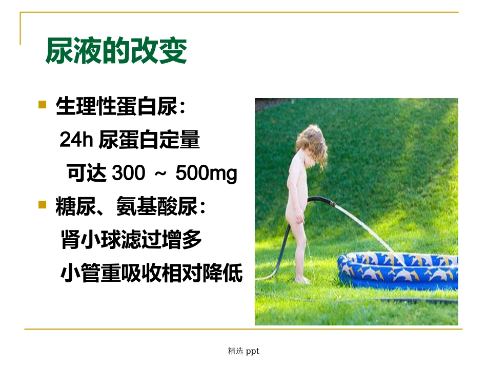 《妊娠与肾脏》_第8页