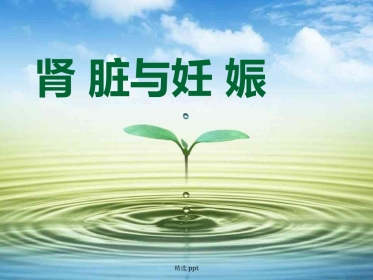 《妊娠与肾脏》