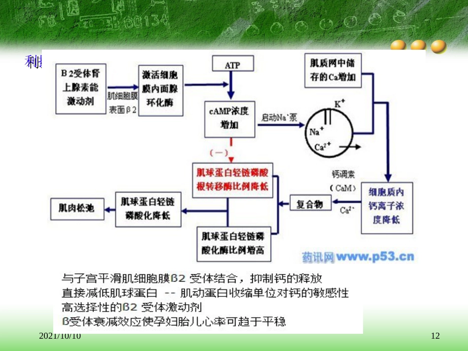 妇产科常用药物_第12页