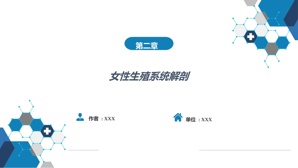 女性生殖系统解剖_第1页