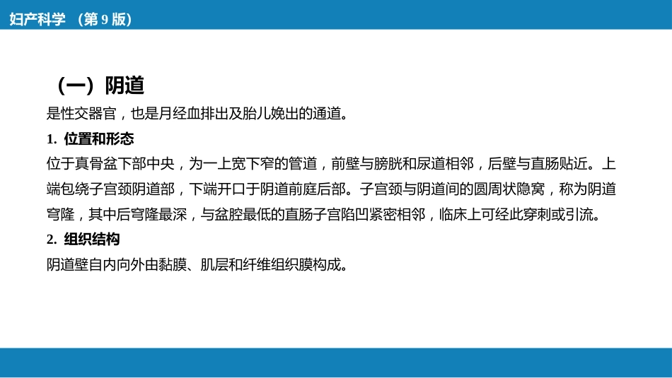 女性生殖系统解剖_第11页