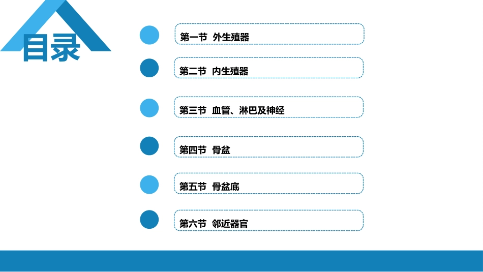 女性生殖系统解剖_第2页