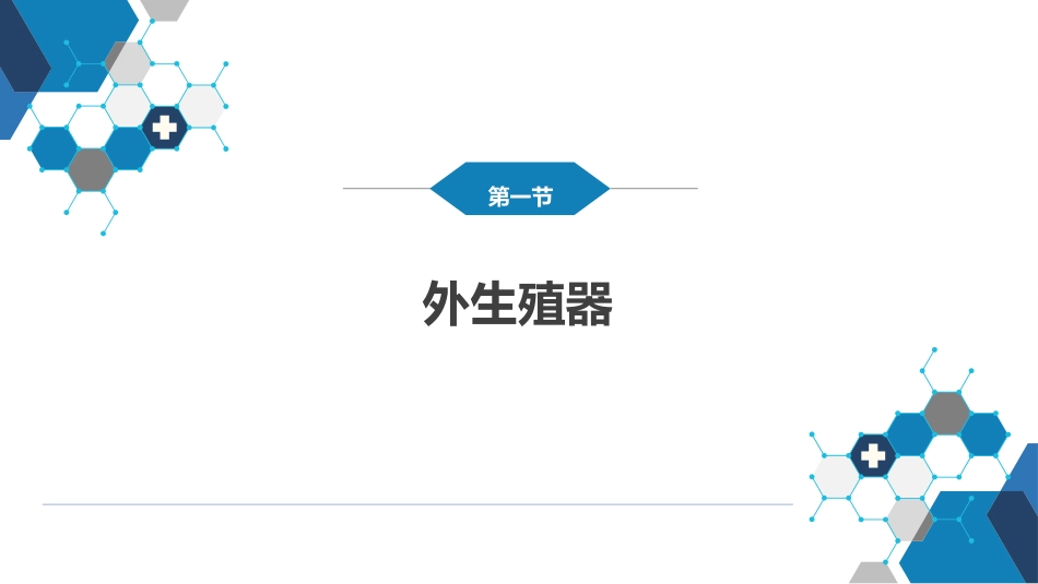女性生殖系统解剖_第4页