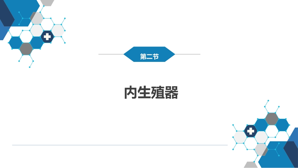 女性生殖系统解剖_第9页