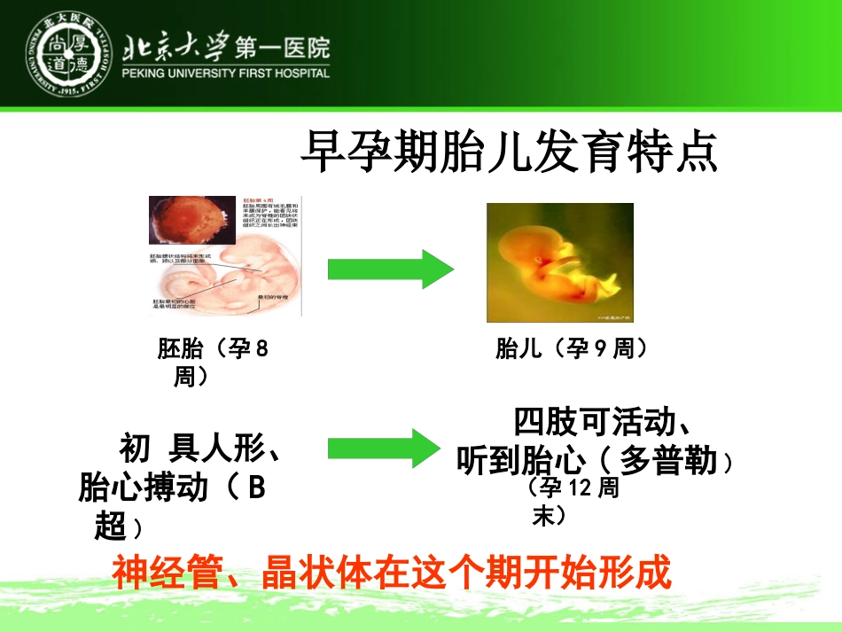 《孕期营养与体重管理》XX医院妇产科_第10页